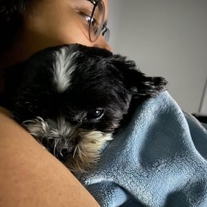 Meet your Posher, Yasiri